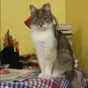 Отзыв от Таисия Майорова